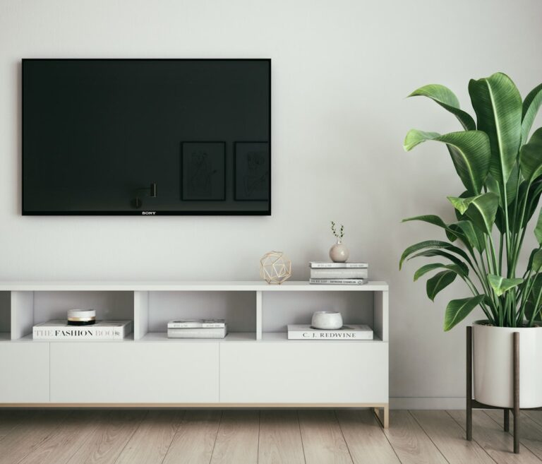 IPTV in the Netherlands: Convenience, Variety, and Modern Streaming Combined